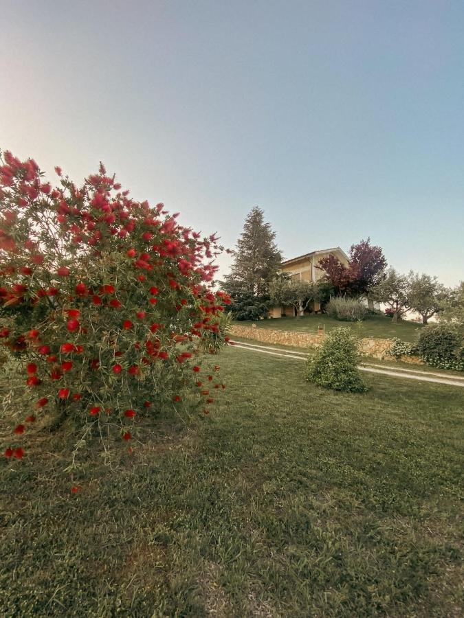 Bed & Breakfast Le Coccinelle Bed and Breakfast Rosciano  Exterior foto