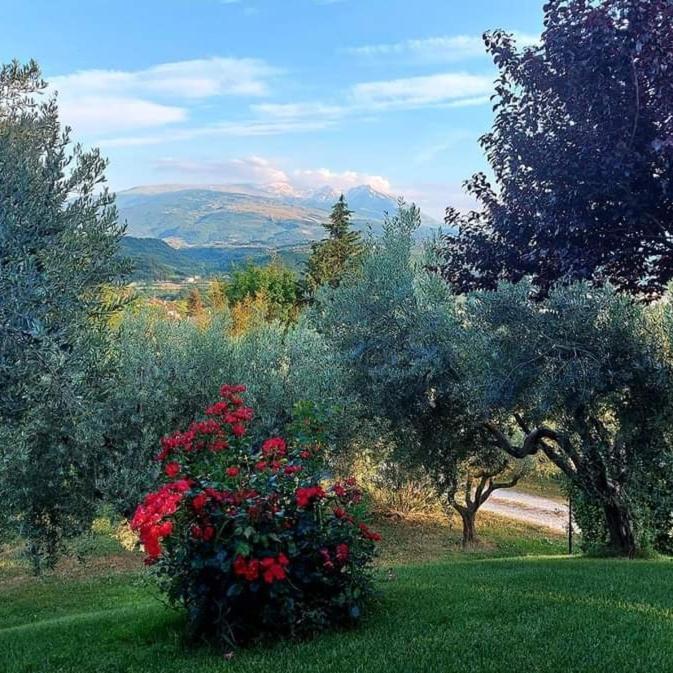 Bed & Breakfast Le Coccinelle Bed and Breakfast Rosciano  Exterior foto