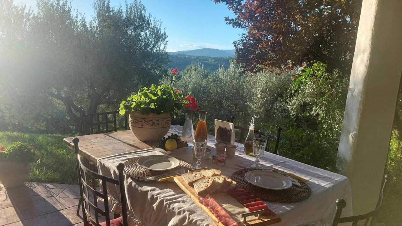 Bed & Breakfast Le Coccinelle Bed and Breakfast Rosciano  Exterior foto