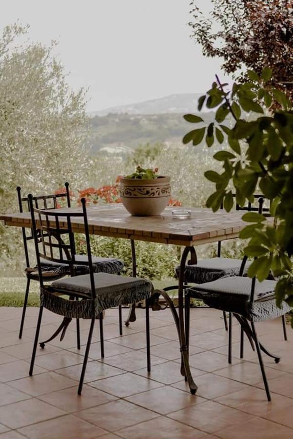 Bed & Breakfast Le Coccinelle Bed and Breakfast Rosciano  Exterior foto